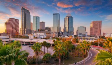 Between Busch Gardens And The Iconic Ybor City Is Tampa's Secret Trendy Neighborhood