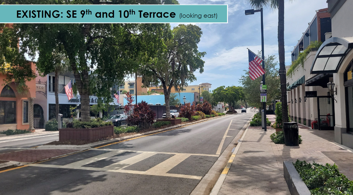 An image of the existing median on Las Olas Boulevard and the mature black olive trees that line it.