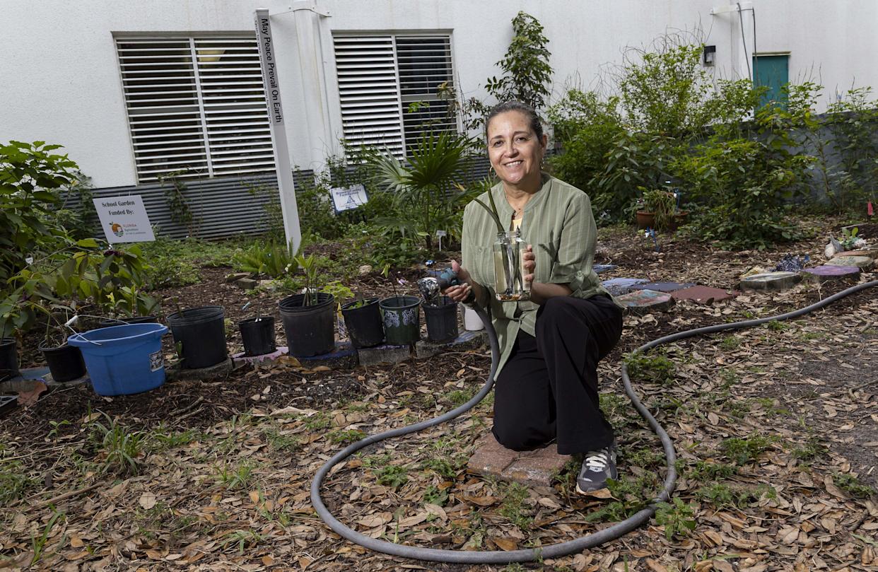 Grisel Berrios, the STEM engineering teacher at New River Middle, holds a mangrove propagule near one of her school's farms where mangroves are grown.