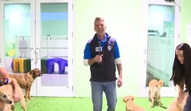 Tiki Tails Dog Resort opens new facility in Cape Coral
