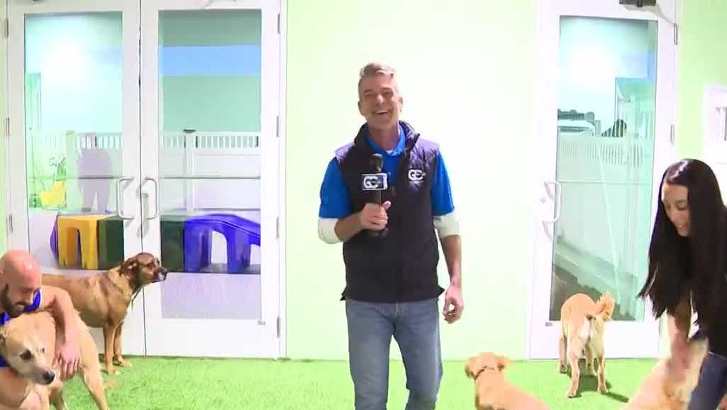 Tiki Tails Dog Resort opens new facility in Cape Coral