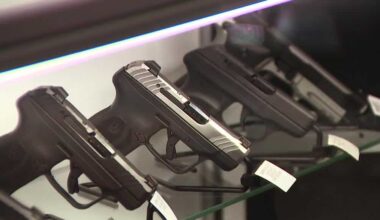 Florida lawmakers debate lowering gun purchase age to 18