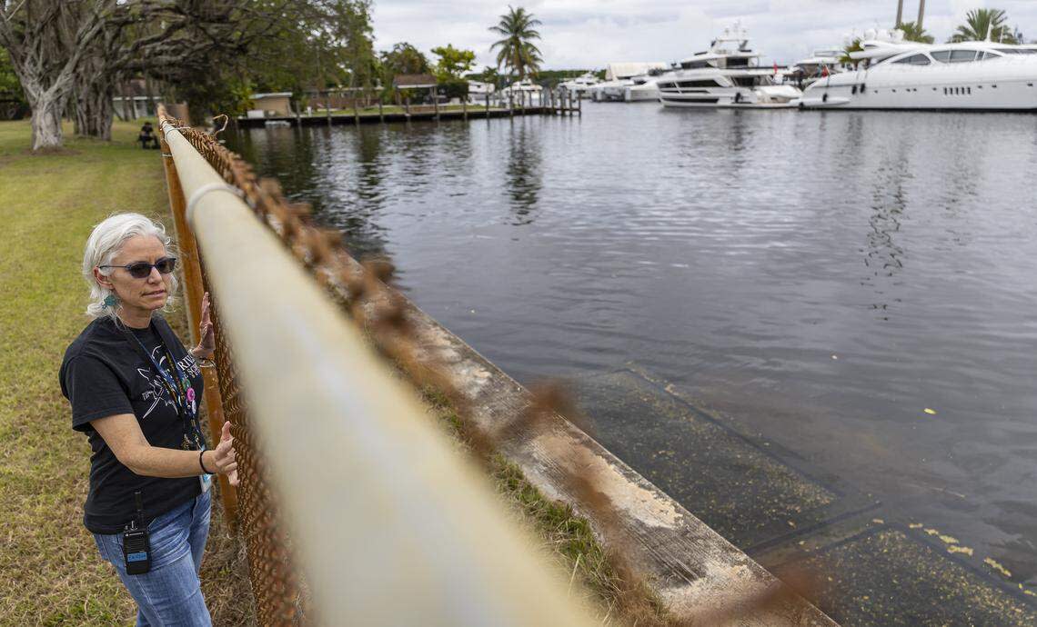 Elizabeth Fahy, the magnet coordinator and a marine science teacher, overlooks the space for a potential new living shoreline at New River Middle School.