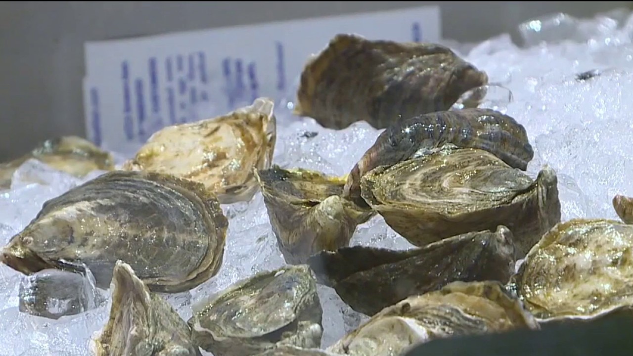 Salmonella outbreak linked to raw oysters