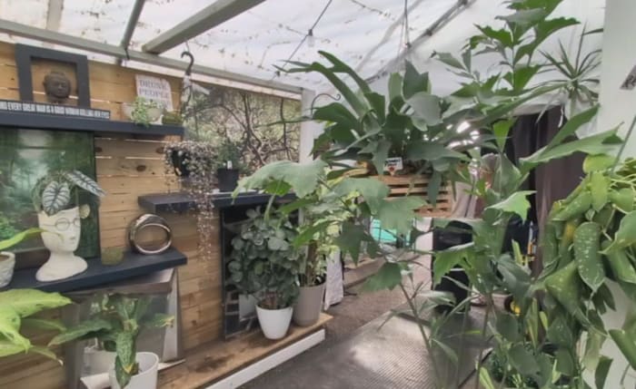 How to protect your plants as temperatures dip this week