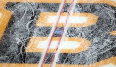 boston bruins, daily bean