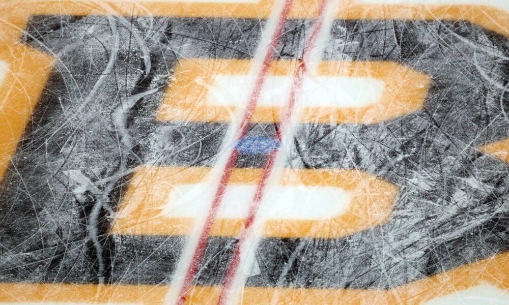 boston bruins, daily bean