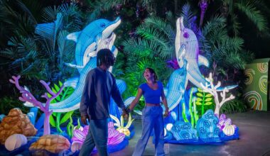 Illuminate brings resolution-inspired fun to Aquatica Orlando – Amusement Today
