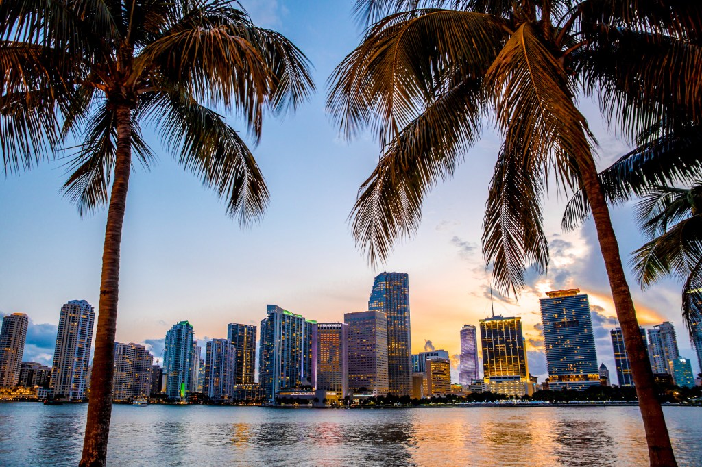 Miami, Florida skyline and bay at sunset, seen through palm trees.