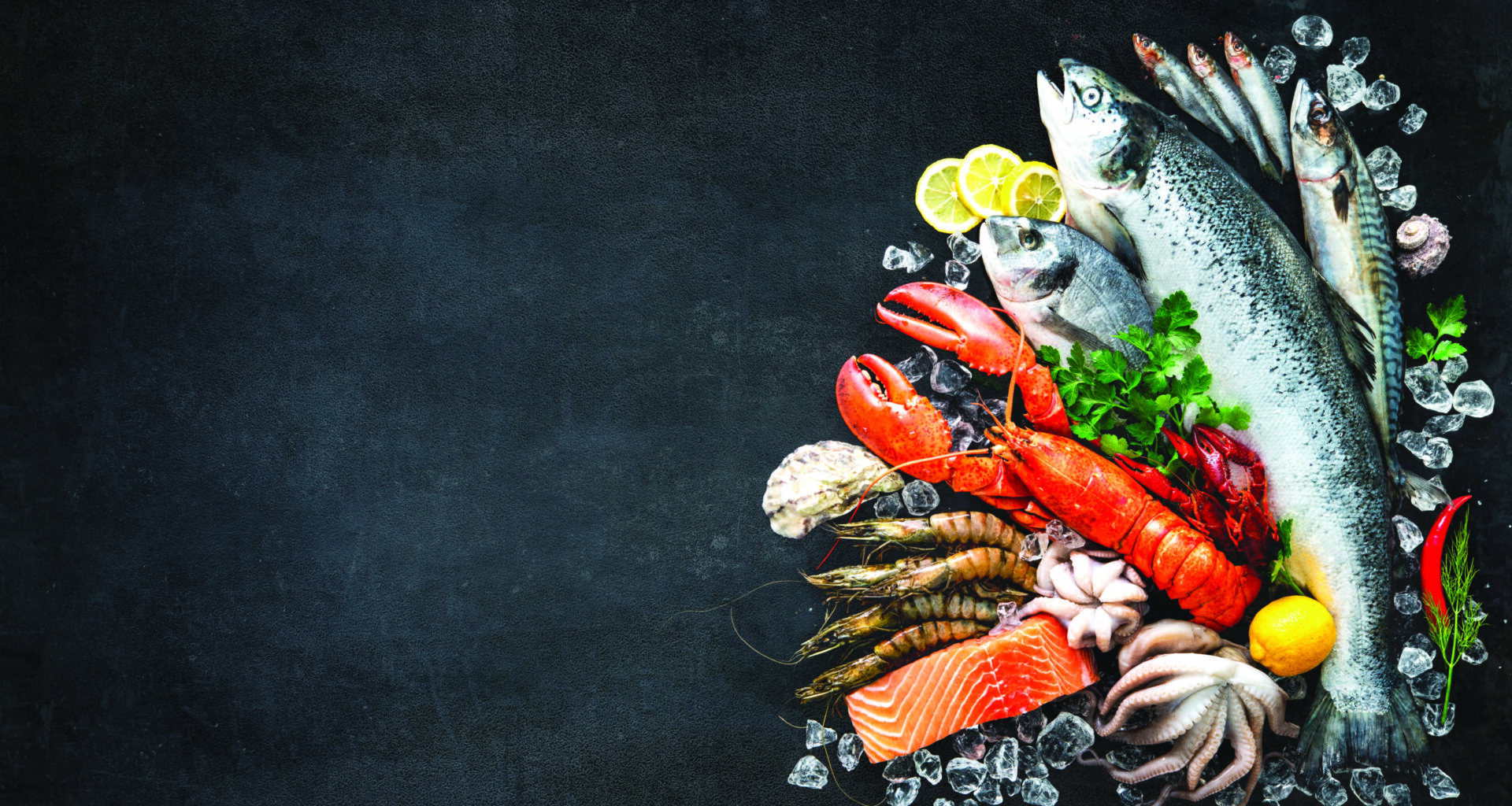 What to do, Where to go