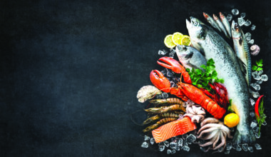 What to do, Where to go