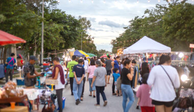 What to do, Where to go