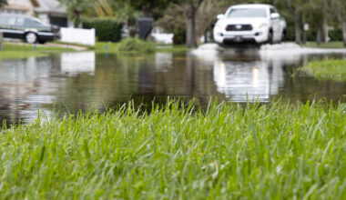 Florida heat makes state among the worst in U.S. to leave vehicles parked outside