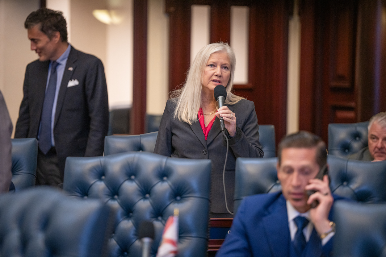 Anne Gerwig FL House