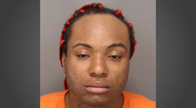 Throwing Shade: Tampa Invites Residents To Shape City’s Green Future At First Tree Town Hall