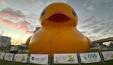 Clearwater calls ducks stay a big success