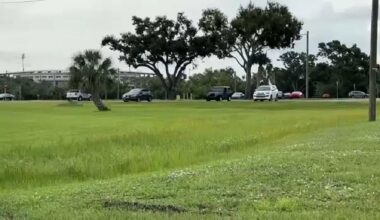 The new ownership group of the Tampa Bay Rays is potentially interested in a piece of the land adjacent to Hillsborough College, on Dale Mabry Highway across from Raymond James Stadium. (Spectrum News image)