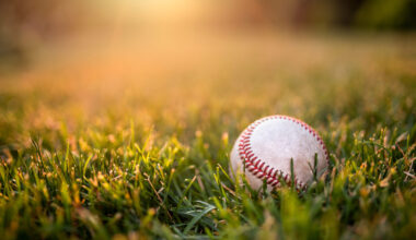 Tampa Bay Rays open 2026 Spring Training ticket sales next week