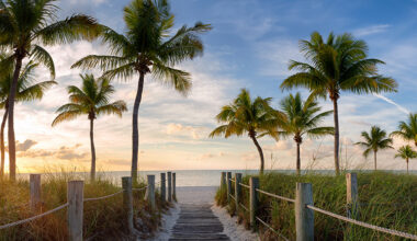 Rock for the Rescue: Where island vibes meet lifesaving mission