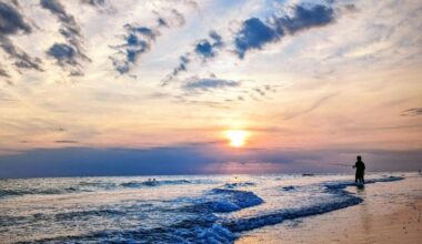 ‘A terrible idea’: Local stakeholders unite against oil drilling