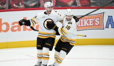 Boston Bruins center Elias Lindholm (28) celebrates his goal with center Pavel Zacha (18) during the third period of an NHL hockey game against the Washington Capitals, Wednesday, Oct. 8, 2025, in Washington.
