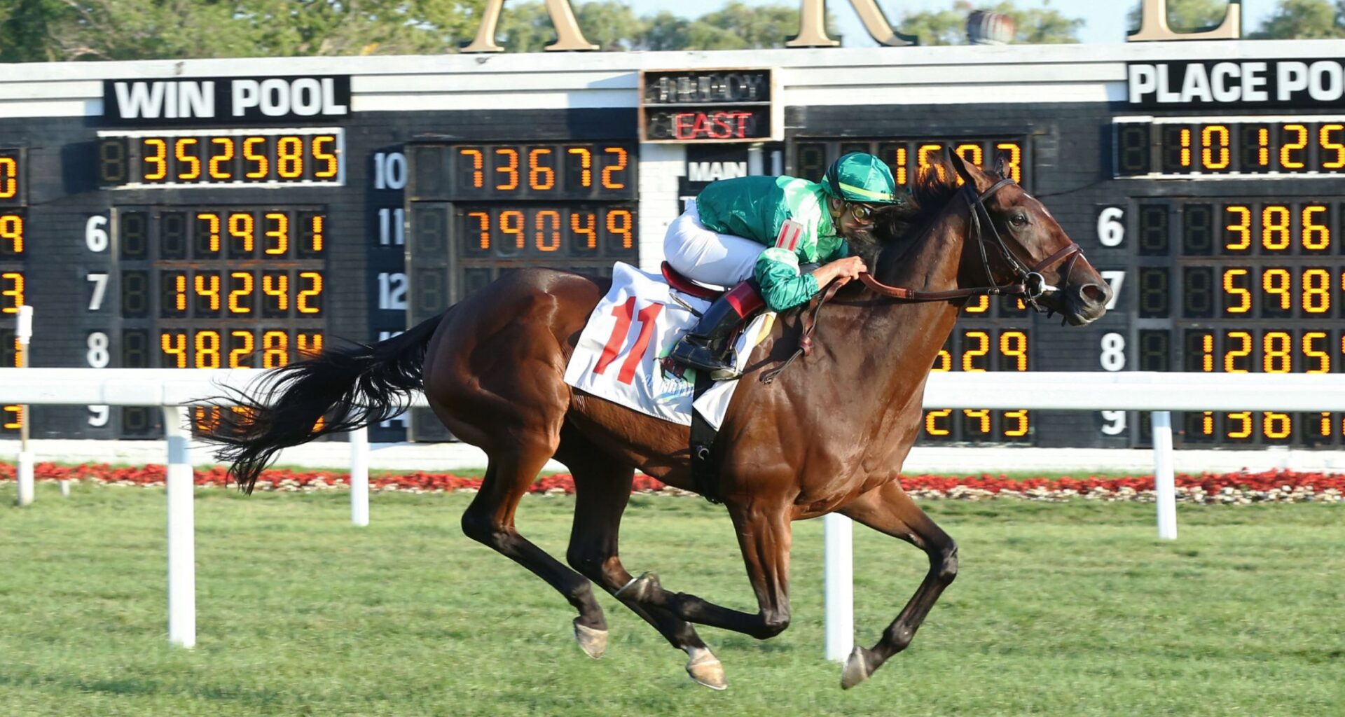 Brant Homebred Looms Large at Tampa