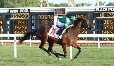 Brant Homebred Looms Large at Tampa
