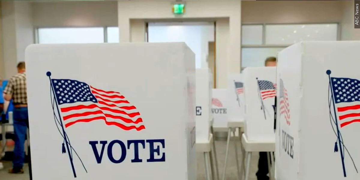 New Year brings pivotal elections to Tallahassee