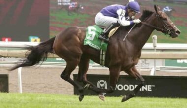 Casse brings top contenders to graded turf races at Tampa Bay