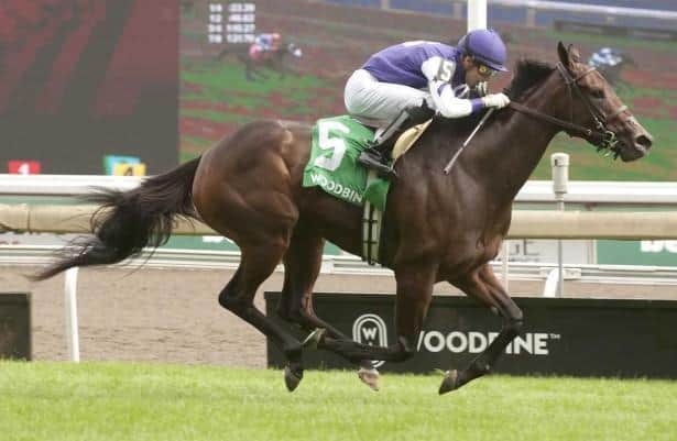 Casse brings top contenders to graded turf races at Tampa Bay