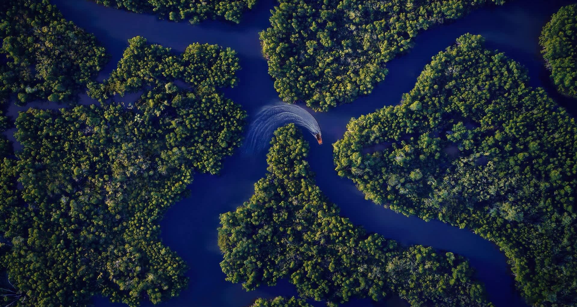 A wealthy developer just bought a huge chunk of land in Cape Coral, and now they're planning on building 3,500 new homes.