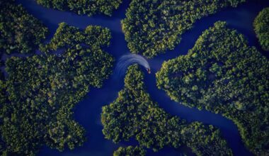 A wealthy developer just bought a huge chunk of land in Cape Coral, and now they're planning on building 3,500 new homes.