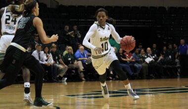 Former USF standouts making their mark