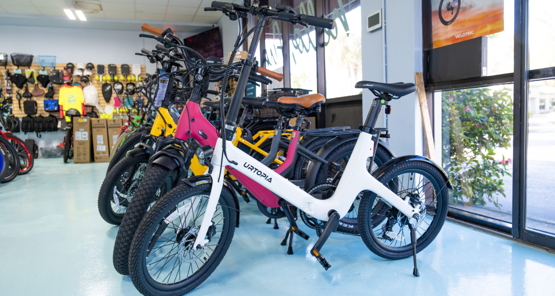 Sharing the road - Florida Weekly