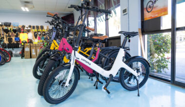 Sharing the road - Florida Weekly