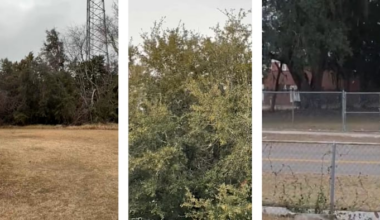 Snow flurries can be seen in parts of Northeast Florida, Southeast Georgia