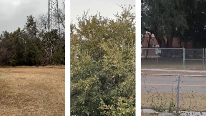 Snow flurries can be seen in parts of Northeast Florida, Southeast Georgia
