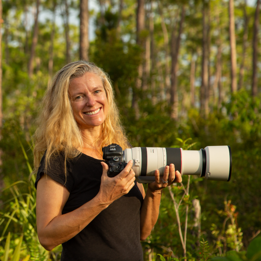Refuge, DDWS to present next lecture in series - SANIBEL-CAPTIVA