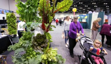Orlando Home and Garden Show returns
