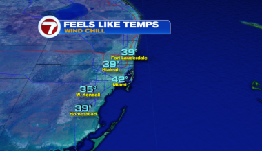 Feeling Frigid in South Florida - WSVN 7News | Miami News, Weather, Sports