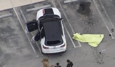 MDSO – NBC 6 South Florida