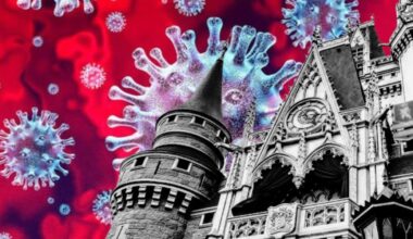 Disney Castle and giant virus balls