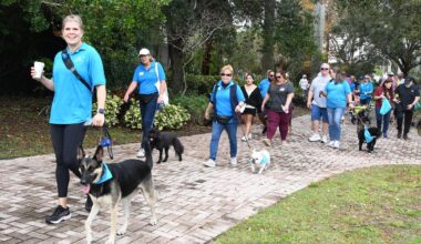 Mutt March Returns to Memorial Park