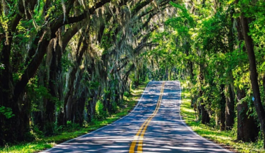 Florida’s the No. 1 destination in America, study says. But there’s a catch