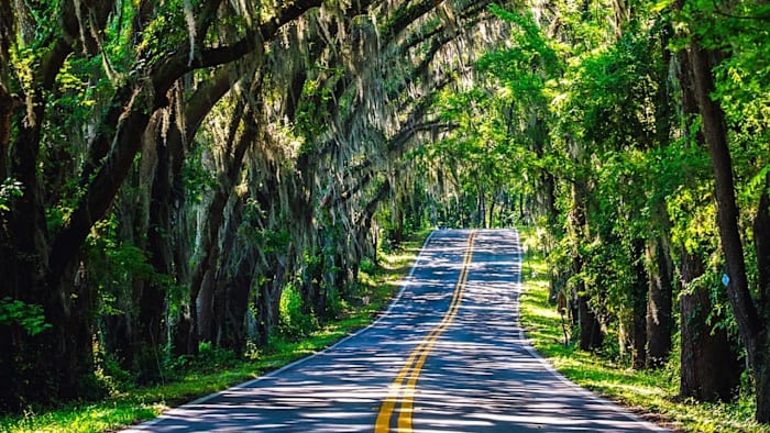 Florida’s the No. 1 destination in America, study says. But there’s a catch