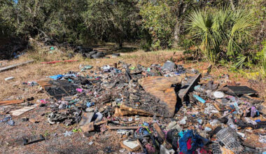 City blight manager pushing for increased funding to address illegal dumping across Jacksonville