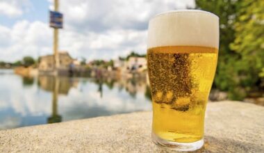 Enjoy free beer, happy hour specials at SeaWorld Orlando for limited time