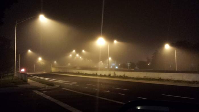 WTF?!?! What the fog is happening in Central Florida?