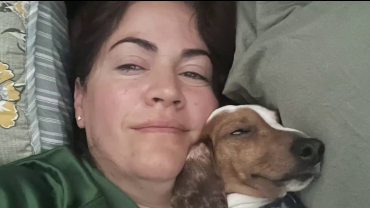 Woman heartbroken after dog was attacked, killed outside Miami-Dade Animal Services shelter – NBC 6 South Florida