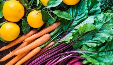 Tampa Traffic Alert: Water Main Break Forces Full Closure Of South Himes Avenue